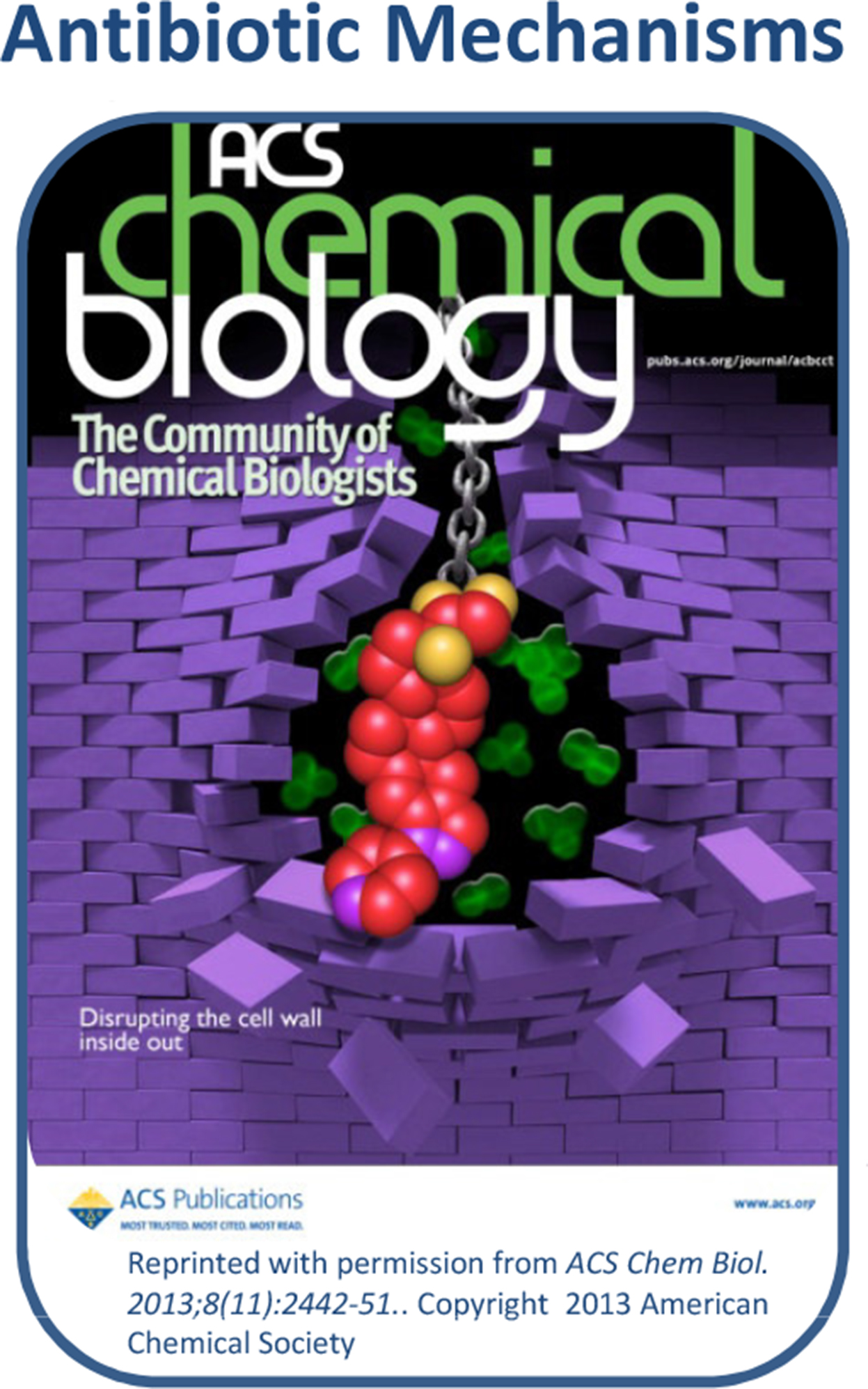 Antibiotic Mechanisms