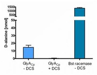 Henrichfreise research 2.jpg