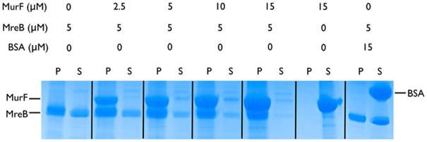 Henrichfreise research 3.jpg