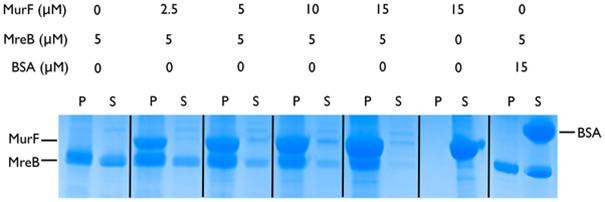 Henrichfreise research 3.jpg