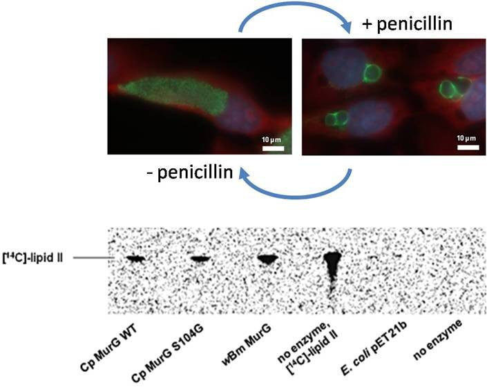 Henrichfreise research 4.jpg