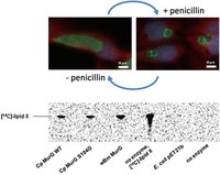 Henrichfreise research 4.jpg